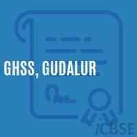 Ghss, Gudalur High School Logo