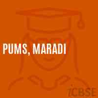 Pums, Maradi Middle School Logo