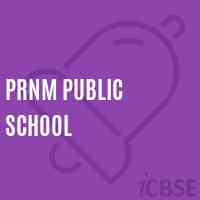 Prnm Public School Logo