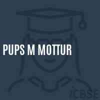 Pups M Mottur Primary School Logo