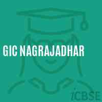 Gic Nagrajadhar High School Logo