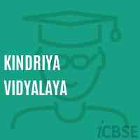 Kindriya Vidyalaya School Logo