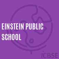 Einstein Public School Logo