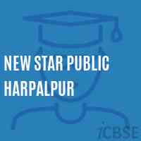 New Star Public Harpalpur Middle School Logo