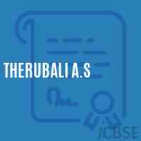 Therubali A.S Middle School Logo