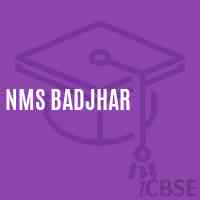 Nms Badjhar Middle School Logo