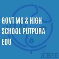 Govt Ms & High School Putpura Edu Logo