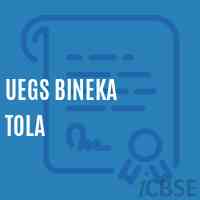 Uegs Bineka Tola Primary School Logo