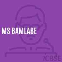 Ms Bamlabe Middle School Logo