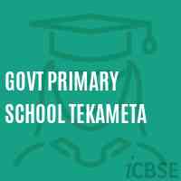 Govt Primary School Tekameta Logo