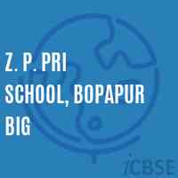 Z. P. Pri School, Bopapur Big Logo
