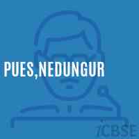 Pues,Nedungur Primary School Logo