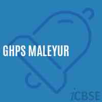 Ghps Maleyur Middle School Logo