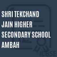 Shri Tekchand Jain Higher Secondary School Ambah Logo