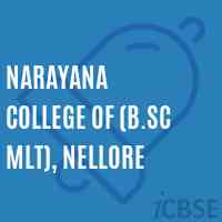 Narayana College of (B.Sc MLT), Nellore Logo