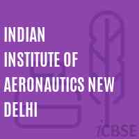 Indian Institute of Aeronautics New Delhi Logo