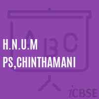 H.N.U.M Ps,Chinthamani Primary School Logo