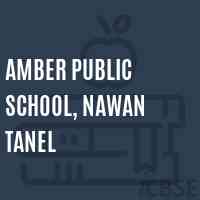 Amber Public School, Nawan Tanel Logo