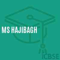 Ms Hajibagh Middle School Logo