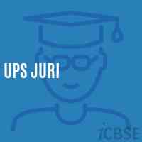 Ups Juri Middle School Logo
