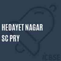 Hedayet Nagar Sc Pry Primary School Logo