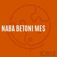 Naba Betoni Mes Middle School Logo