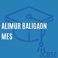 Alimur Baligaon Mes Middle School Logo