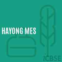 Hayong Mes Middle School Logo
