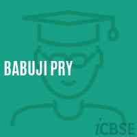 Babuji Pry Primary School Logo