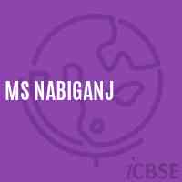 Ms Nabiganj Middle School Logo