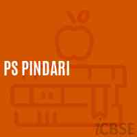 Ps Pindari Primary School Logo