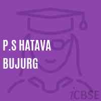 P.S Hatava Bujurg Primary School Logo