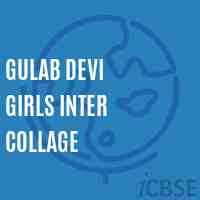 Gulab Devi Girls Inter Collage High School Logo