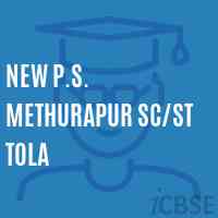 New P.S. Methurapur Sc/st Tola Primary School Logo