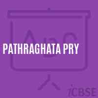 Pathraghata Pry Primary School Logo