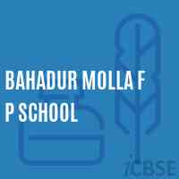 Bahadur Molla F P School Logo