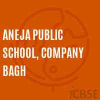 Aneja Public School, Company Bagh Logo