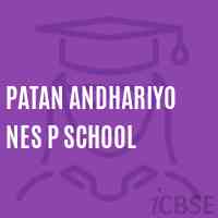 Patan andhariyo Nes P School Logo