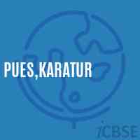 Pues,Karatur Primary School Logo