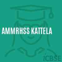 Ammrhss Kattela High School Logo