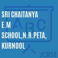 Sri Chaitanya E.M School,N.R.Peta, Kurnool Logo