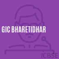 Gic Bharetidhar High School Logo