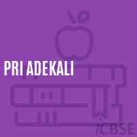 Pri Adekali Primary School Logo