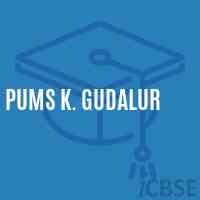 Pums K. Gudalur Middle School Logo