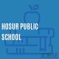 Hosur Public School Logo