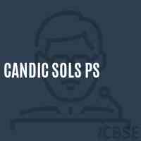 Candic Sols Ps Primary School Logo