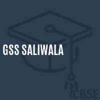 Gss Saliwala Secondary School Logo