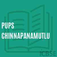 Pups Chinnapanamutlu Primary School Logo