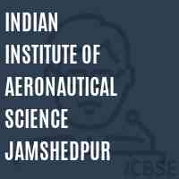 Indian Institute of Aeronautical Science Jamshedpur Logo