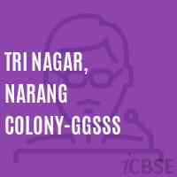Tri Nagar, Narang Colony-GGSSS High School Logo